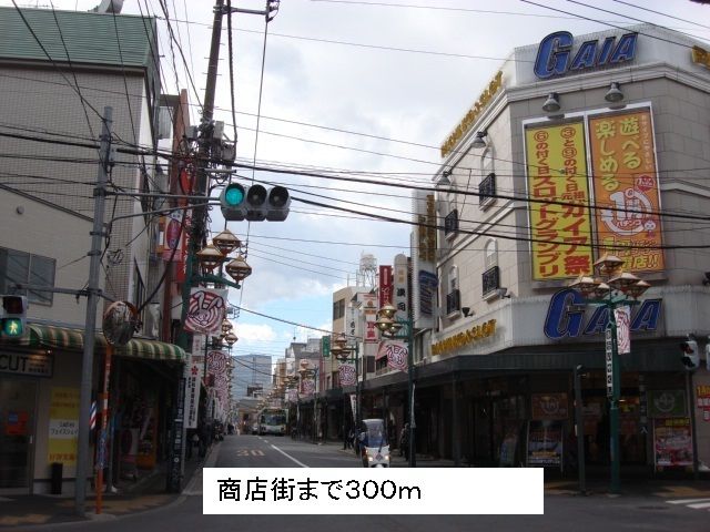 その他　商店街（その他）まで300m