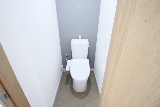 ルミナス87のトイレ写真