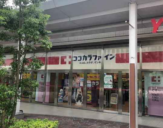 ドラックストア　ココカラファイン イトーヨーカドー新宿富久店（ドラッグストア）まで161m