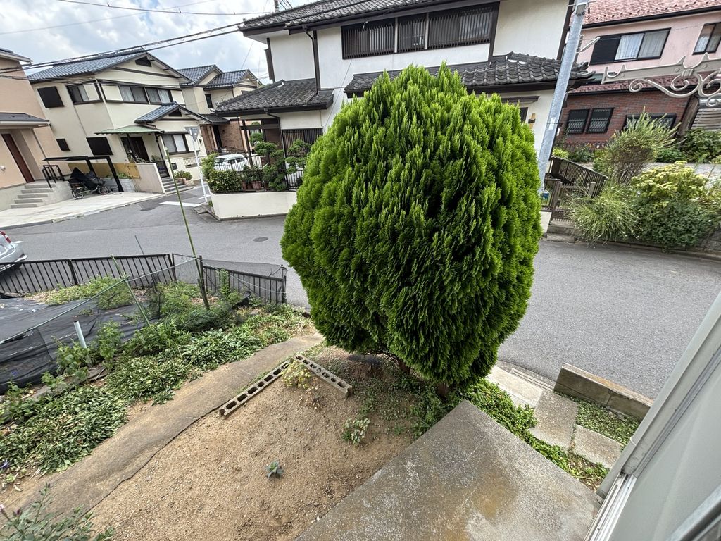 【船橋市芝山のアパートの庭】