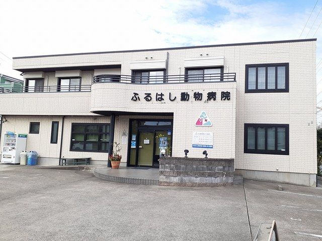 その他　ふるはし動物病院（その他）まで608m