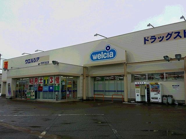 ドラックストア　ウエルシア高岡井口本江店（ドラッグストア）まで220m