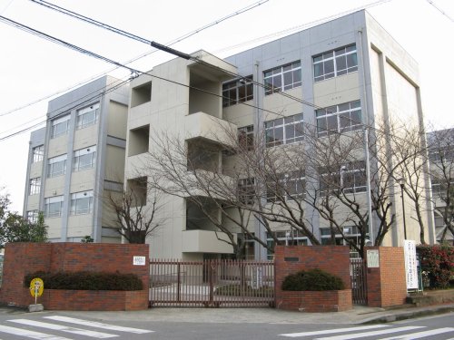 小学校　姫路市立東小学校（小学校）まで304m