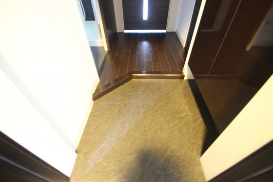 玄関　※別部屋の写真です