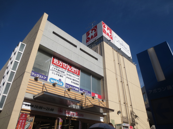 スーパー　藤が丘 東急ストア（スーパー）まで1209m