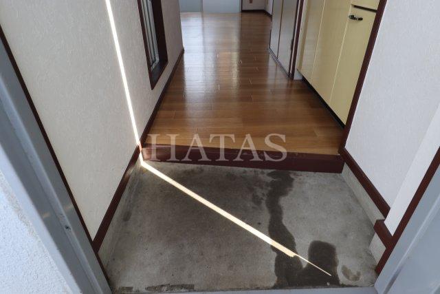 玄関　同物件別部屋です