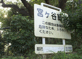 公園　宮ヶ谷緑地（公園）まで146m