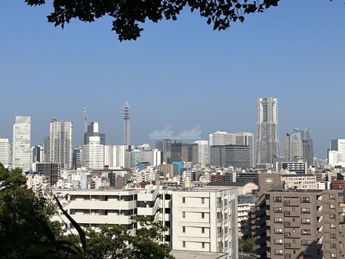 公園　浅間台みはらし公園（公園）まで651m