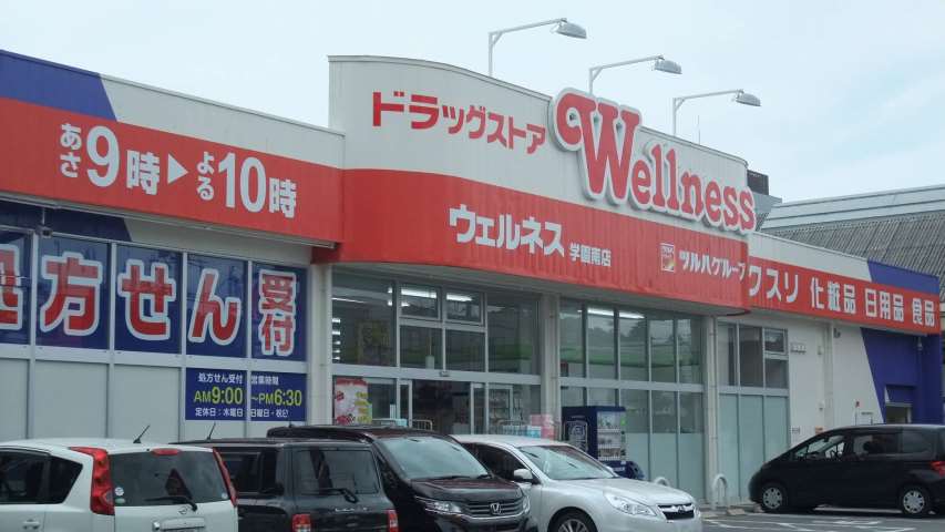 ドラックストア　ウェルネス学園南店（ドラッグストア）まで1158m