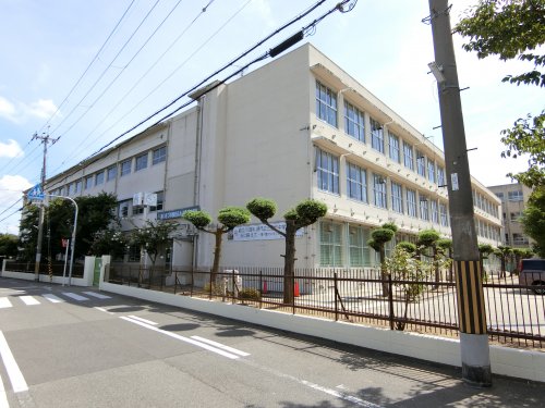 中学校　堺市立三国丘中学校（中学校）まで239m