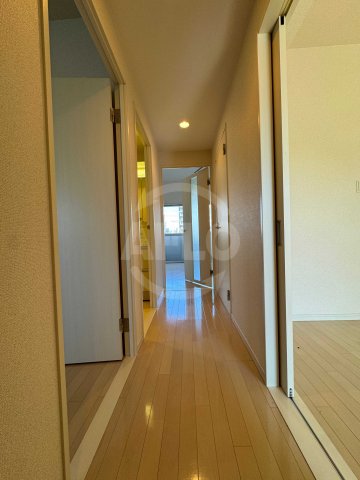その他　アルチコンテント新高　廊下