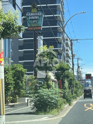 飲食店　ラ・オハナ 三国店（飲食店）まで240m
