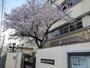 中学校　東大阪市立長栄中学校（中学校）まで559m