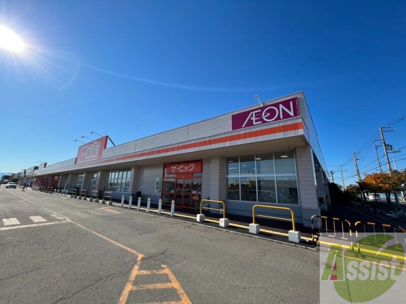 スーパー　ザ・ビッグ東雁来店（スーパー）まで1100m