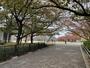 公園　御崎公園（公園）まで1954m