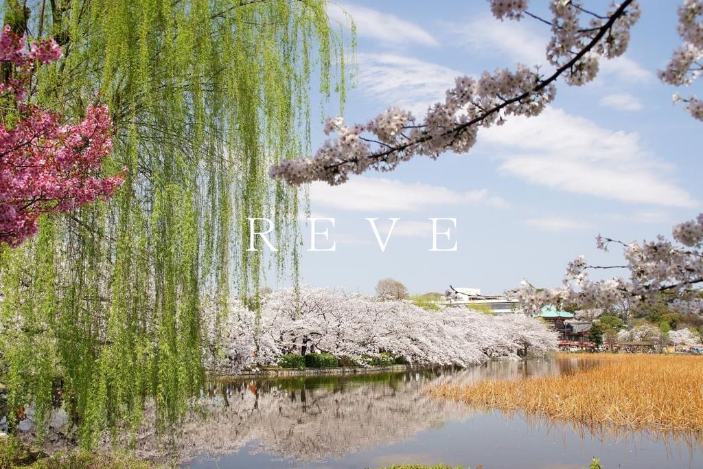 公園　東京都上野恩賜公園（公園）まで1300m