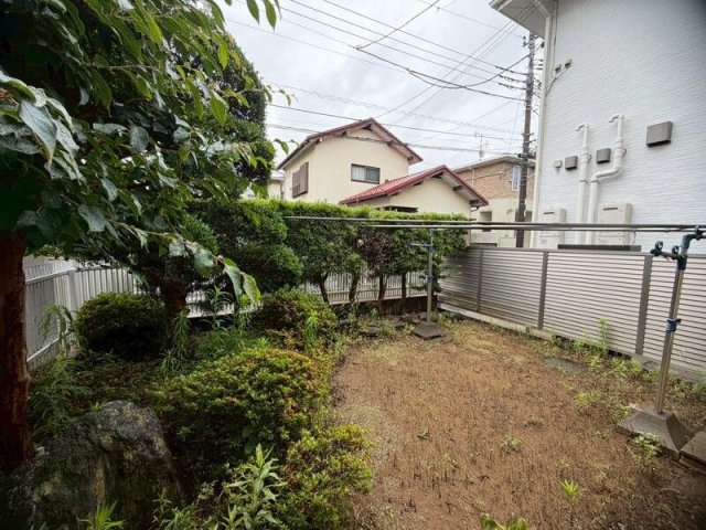 庭