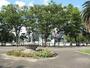 公園　白川公園（公園）まで1282m