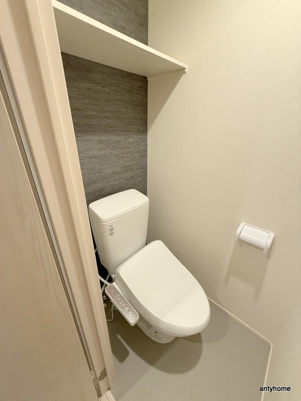 ハーモニーテラス内代町IIのトイレ写真