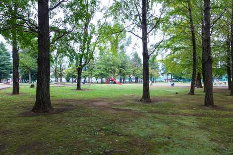 その他　大南公園（その他）まで772m