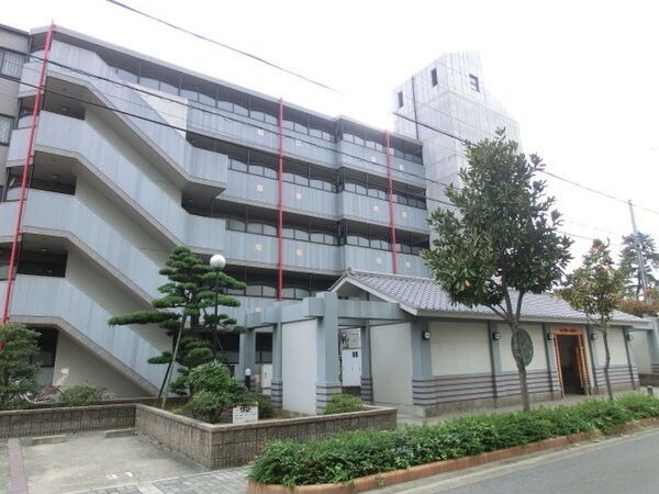 庭