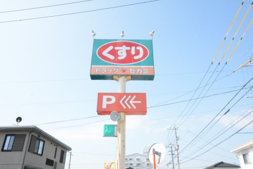 ドラックストア　ドラッグセガミ久留米南店（ドラッグストア）まで265m