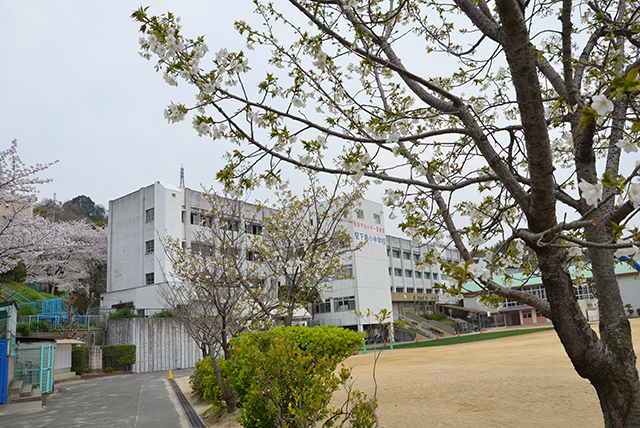 小学校　柏原市立堅下南小学校（小学校）まで481m