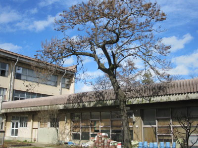 小学校　長野市立通明小学校（小学校）まで884m