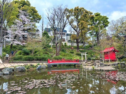 【ツインパレスの公園】