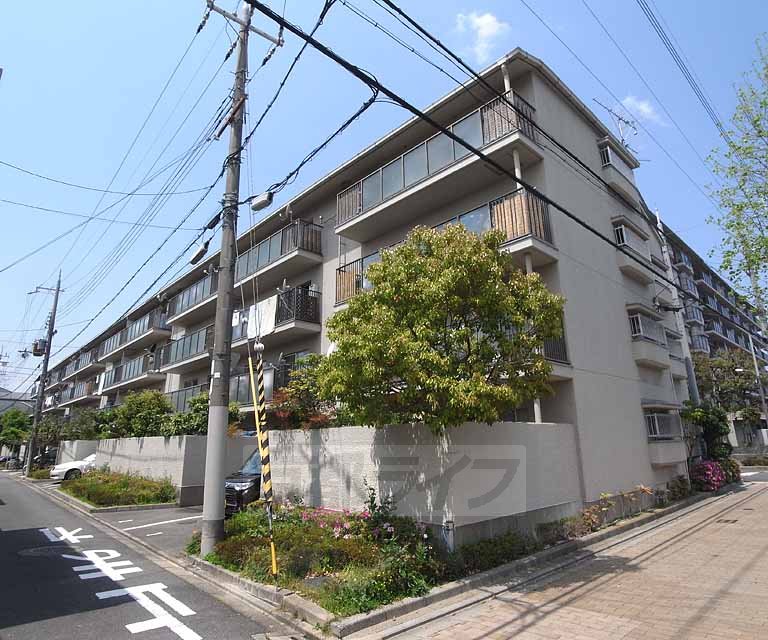 京都市南区西九条島町のマンションの建物外観