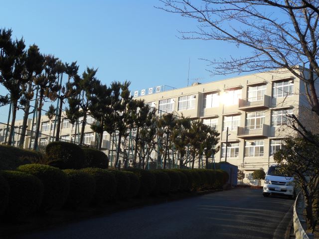 小学校　市立館小学校（小学校）まで1300m