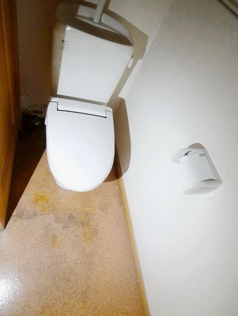 トイレ　★トイレの様子★