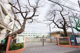 小学校　世田谷区立等々力小学校（小学校）まで609m