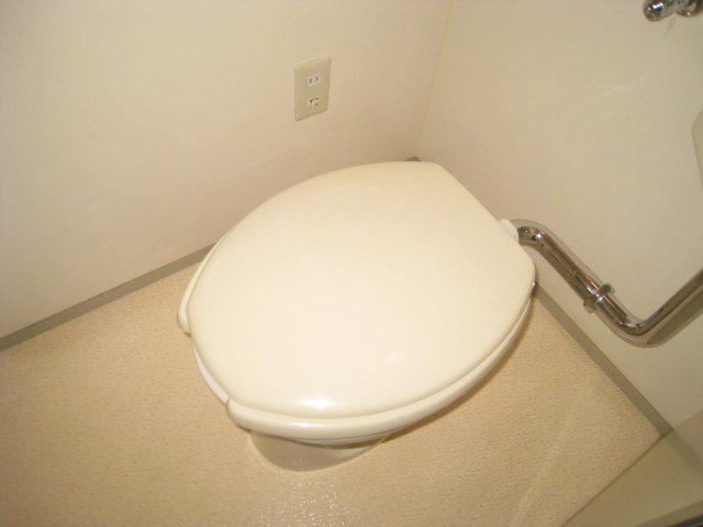 トイレ　同物件別号室のものです。