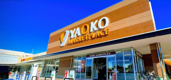 ショッピングセンター　ヤオコー川口ＳＫＩＰシティ店（ショッピングセンター）まで500m