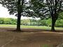 公園　都立小金井公園（公園）まで2049m