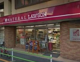 コンビニ　ナチュラルローソン元麻布店（コンビニ）まで101m