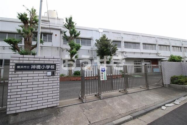 眺望　横浜市立神橋小学校まで217m?