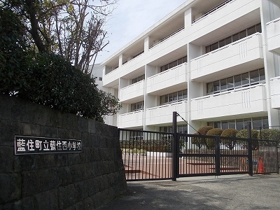 小学校　藍住町立藍住西小学校（小学校）まで236m