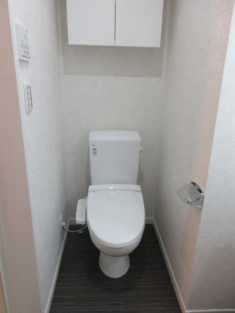 ＪＲ横須賀線 保土ケ谷駅 徒歩12分 2階建 築6年のトイレ写真