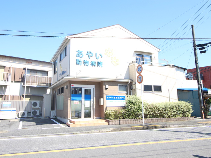 病院　あやい動物病院（病院）まで120m