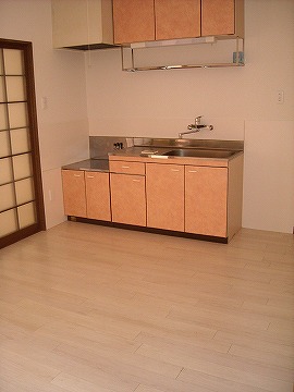 キャッスルKIWA A-203のキッチン写真