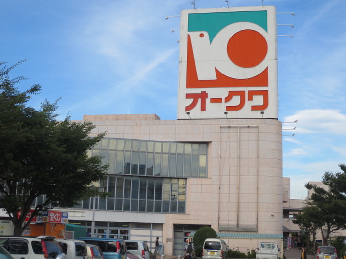 ショッピングセンター　わくわくシティ（ショッピングセンター）まで1100m