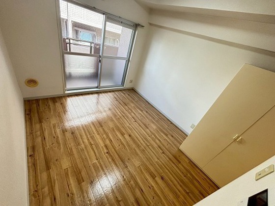 居室・リビング　※別部屋の写真です