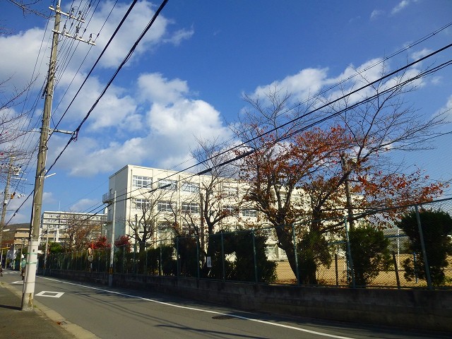 小学校　高槻市立北大冠小学校（小学校）まで337m