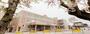 小学校　弘前市立堀越小学校（小学校）まで1289m