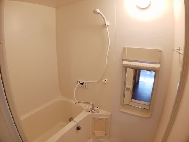 カーサプラシードの風呂写真