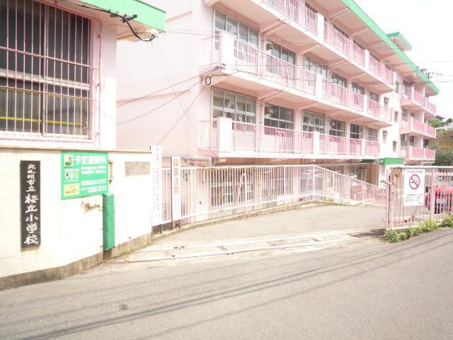 小学校　桜丘小学校（小学校）まで380m