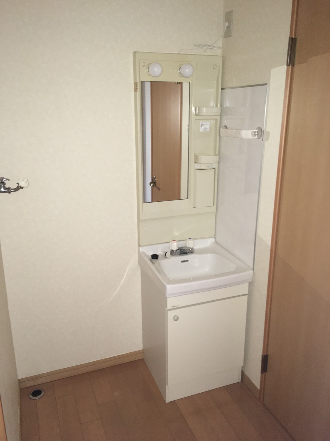【新潟市中央区女池のアパートの洗面設備】