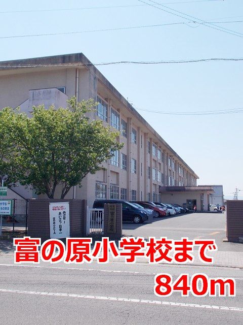 【サクセスの小学校】